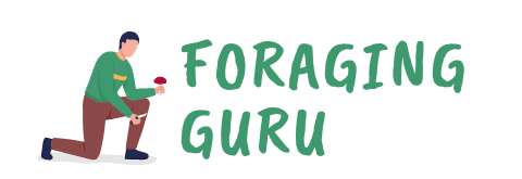 ForagingGuru