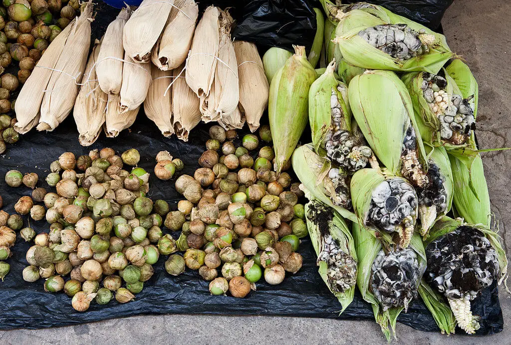 Tomatillo corns husks and huitlacoche