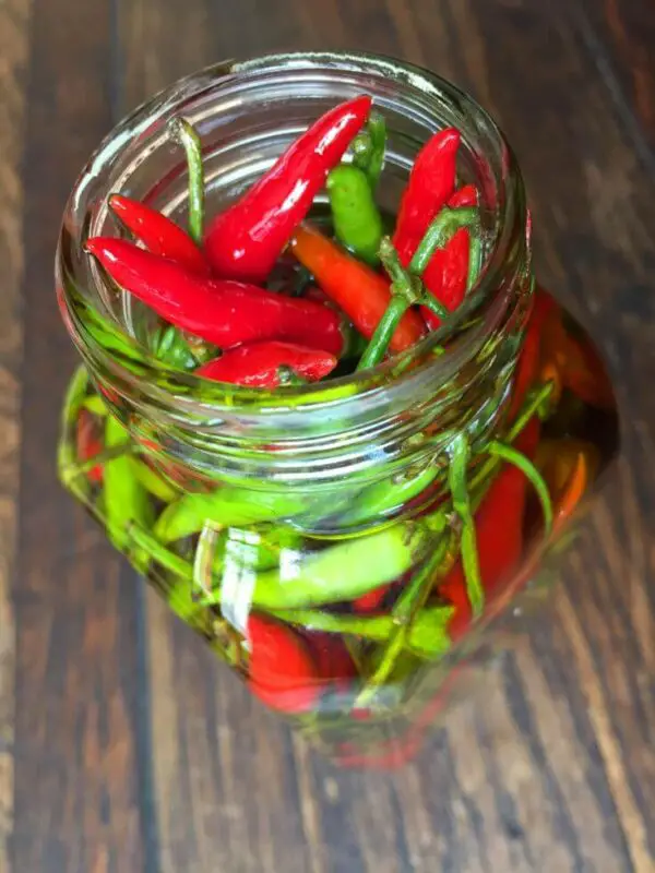 Bird peppers in oil