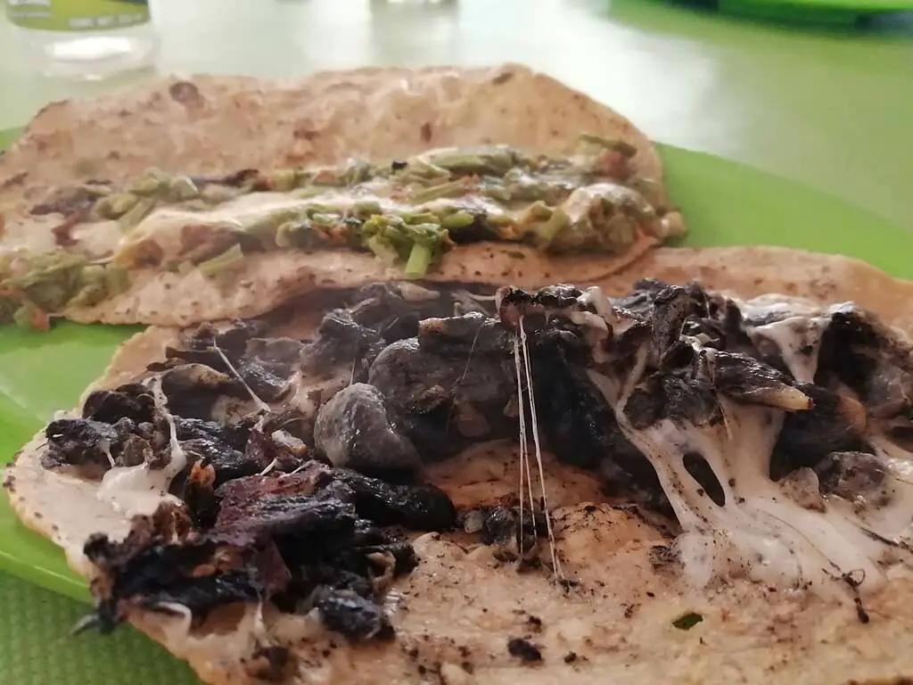 Huitlacoche quesadillas