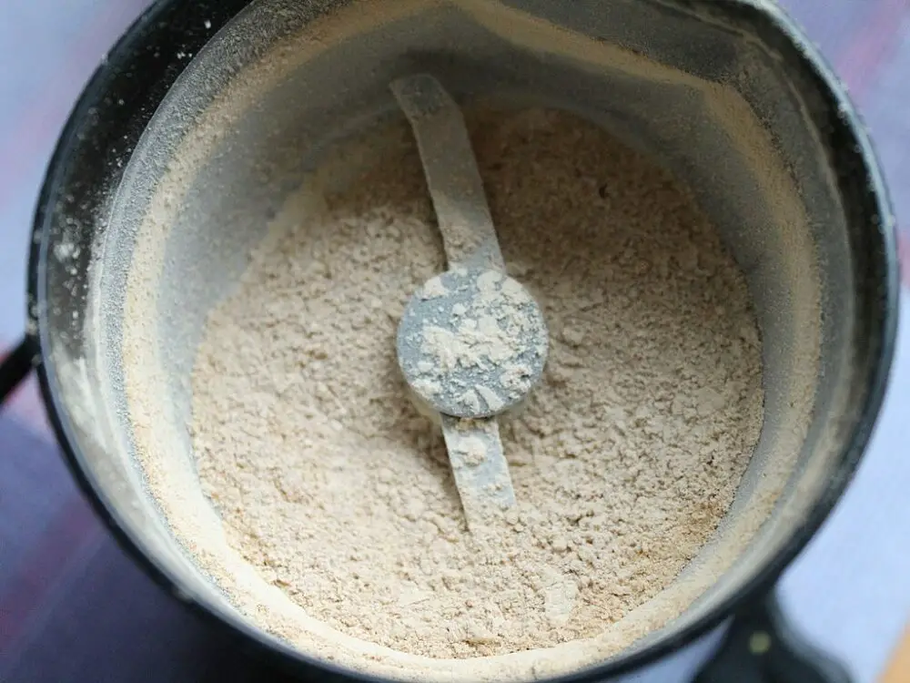 Freshly ground mushroom powder