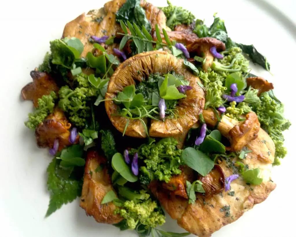 Horse mushroom stuffed with cicely