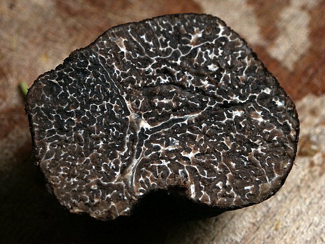 Cross-section of black Périgord truffle