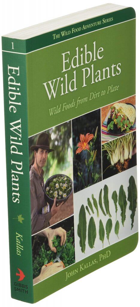 Edible Wild Plants, Wild Foods from Dirt to Plate by John Kallas