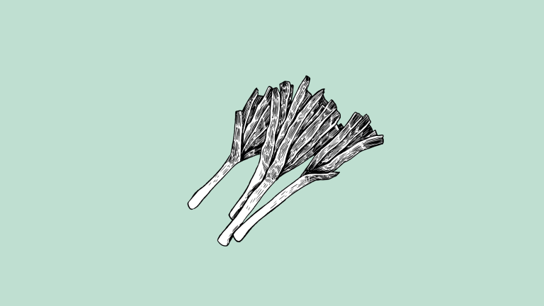 link to A Forager’s Guide to Wild Leek (Ramps) A Forager’s Guide To Wild Leek (Ramps)