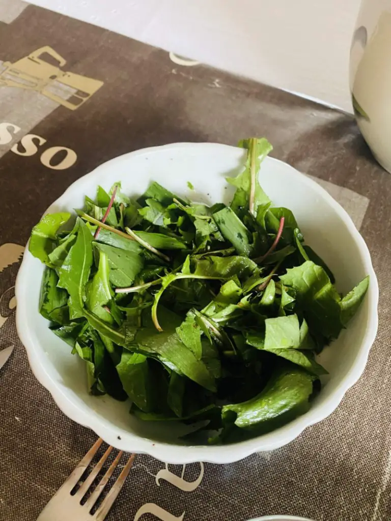 Wild leek and dandelion leaves salad