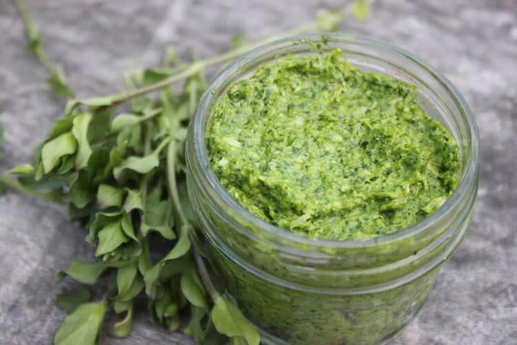 Spring pesto with chickweed and garlic