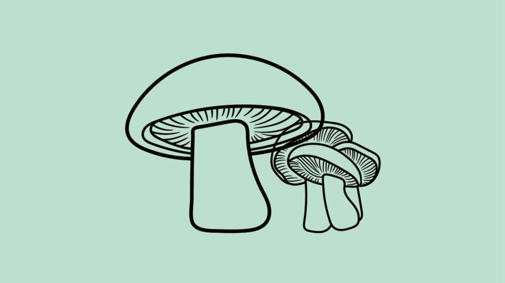 Blewit Mushrooms_ Foraging, Identification & Cooking Tips