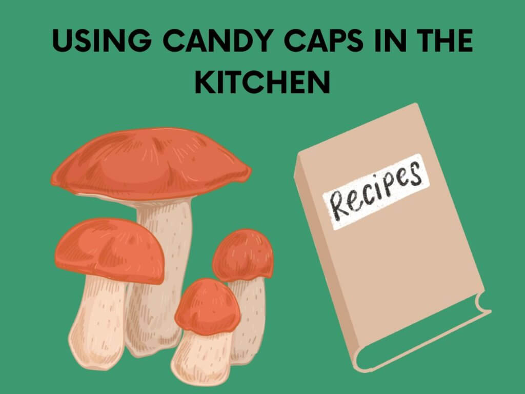 candy caps in the kitchen