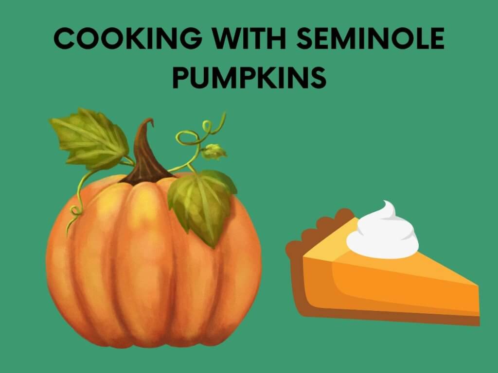 cooking with seminole pumpkins