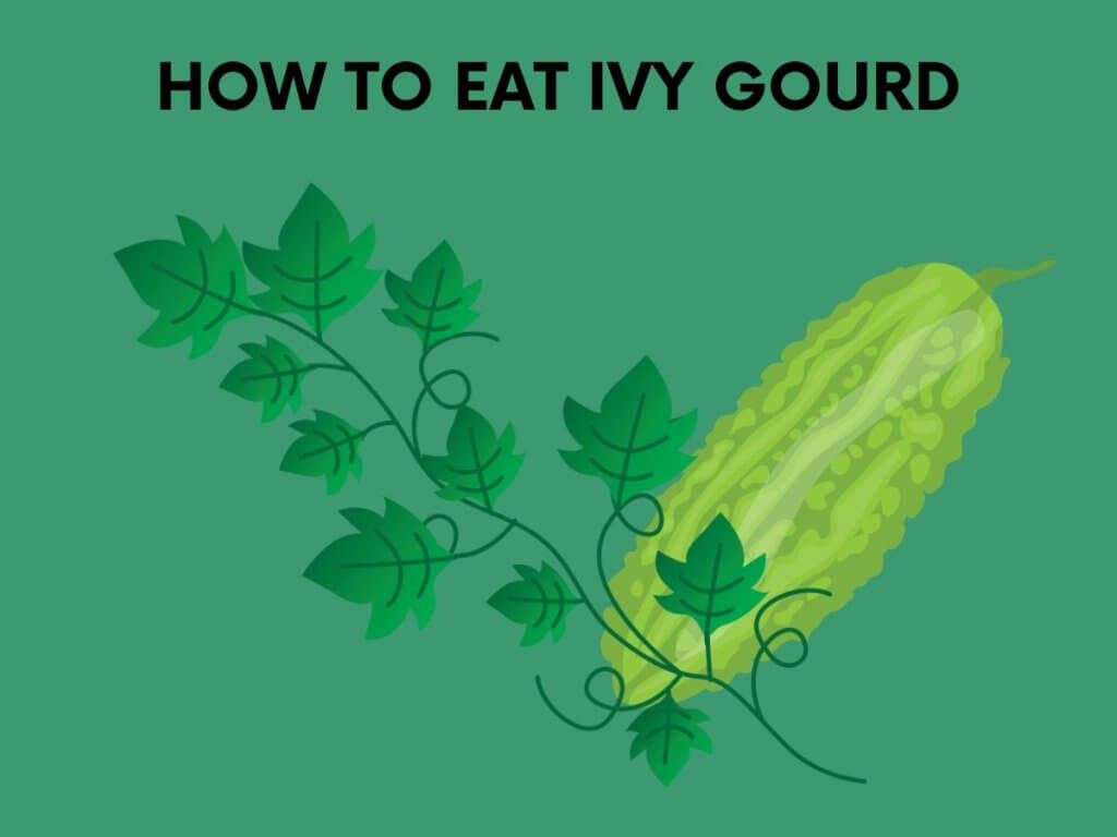 how to eat ivy goyrd