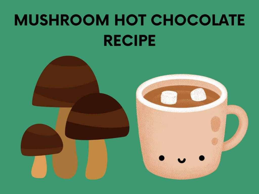 mushroom hot chocolate recipe