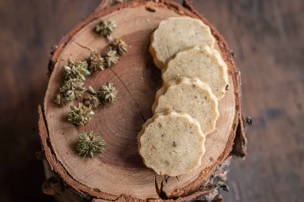 Sweet fern shortbread cookies